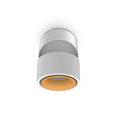 Applique Décorative CCT 12W Blanc/Doré Inclinable/orientable