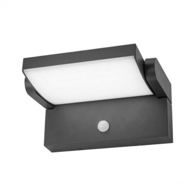Applique Murale Orientable LED 12W 720 LM Détecteur 3000K Gris IP54