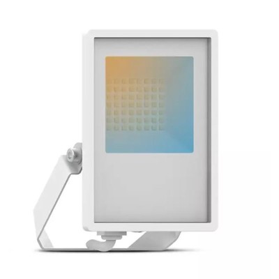 Projecteur LED Blanc 30W CCT IP65
