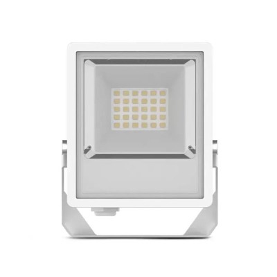 Projecteur LED Blanc 30W CCT IP65